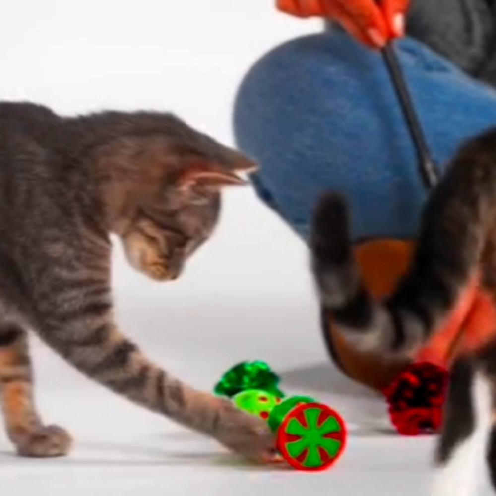 🆕Frisco Teaser & Ball Variety Pack Cat Toys